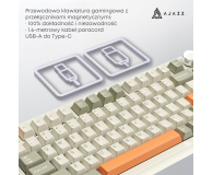 Ajazz AK820MAX Retro Colour Flying Fish Switch 8000 mAh - 1536368 - zdjęcie 10